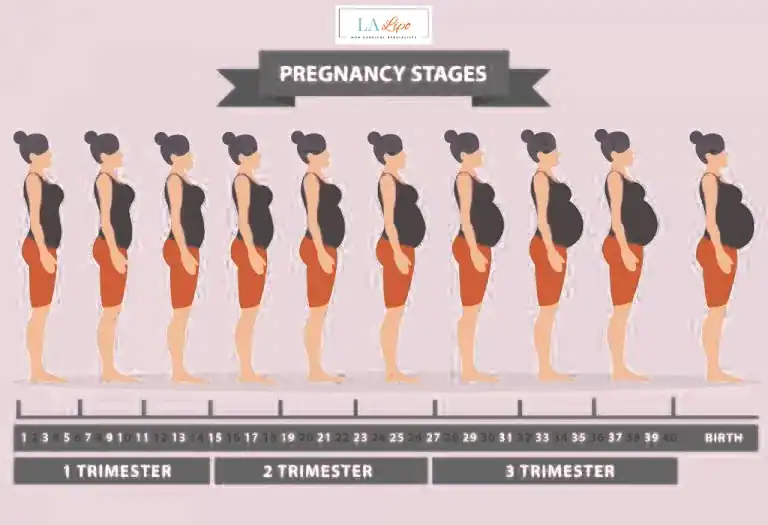 First Trimester (Weeks 1–12): Early Changes You Might Not Notice Wimbledon